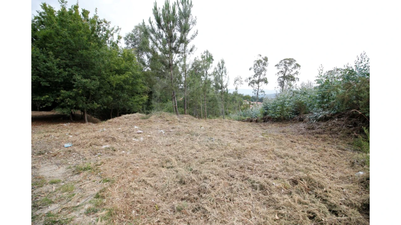 Terreno para Venda em Pinheiro da Bemposta, Travanca e Palmaz Foto 1