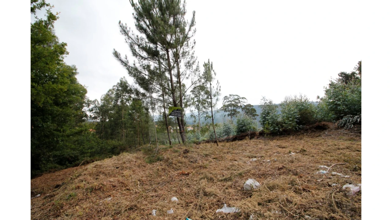 Terreno para Venda em Pinheiro da Bemposta, Travanca e Palmaz Foto 2