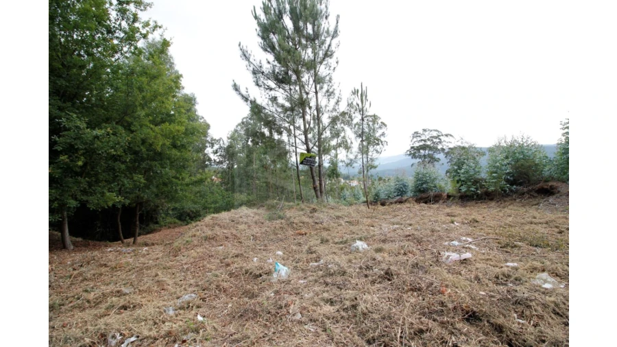 Terreno para Venda em Pinheiro da Bemposta, Travanca e Palmaz Foto 3