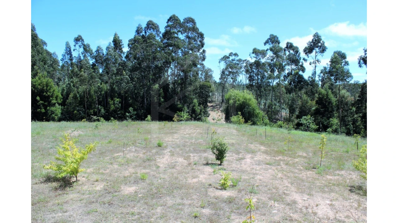 Terreno Agricola ou Rústico para Venda em São Miguel do Souto e Mosteirô Foto 2