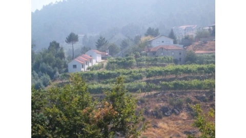 Quinta para Venda em Cepelos