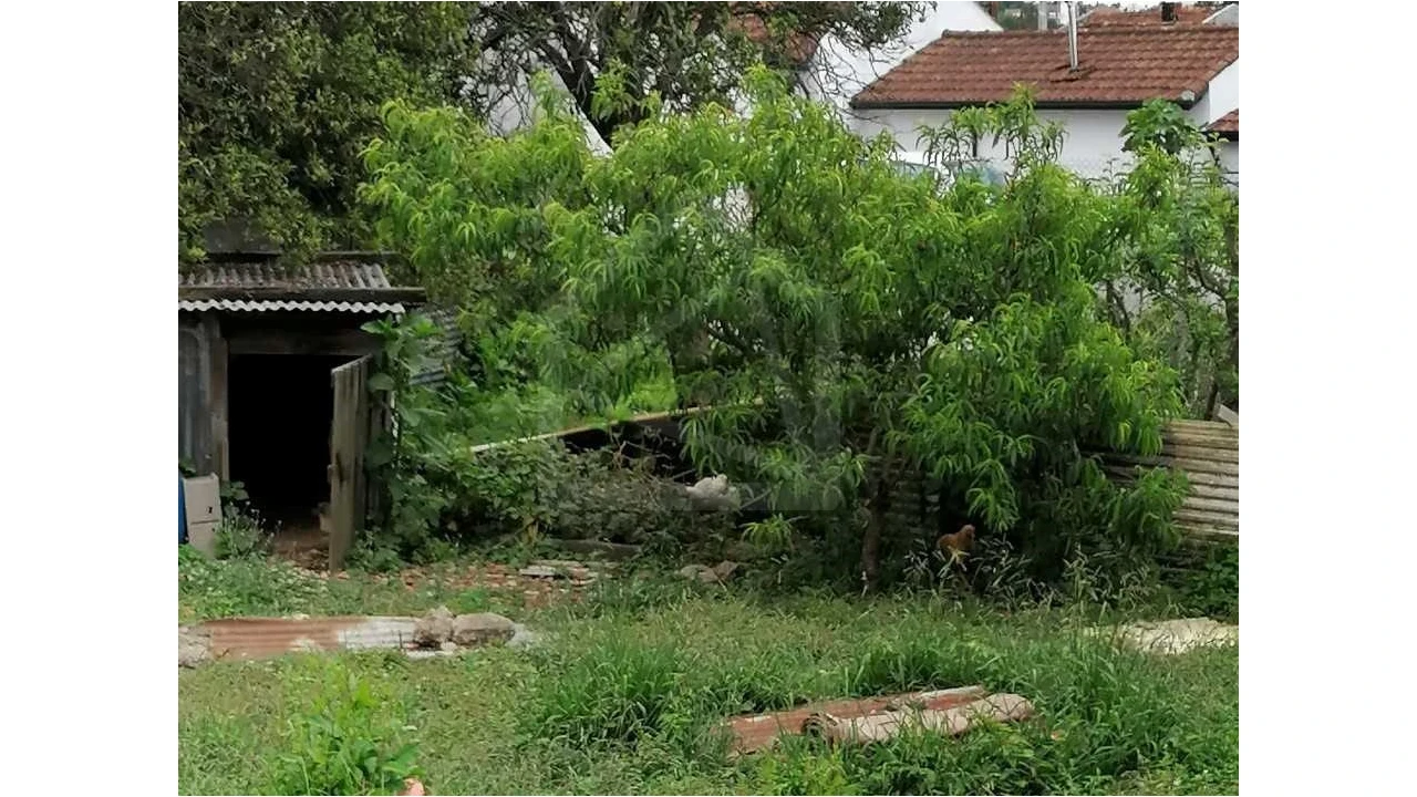 Moradia T3 para Venda em Paços de Brandão Foto 11