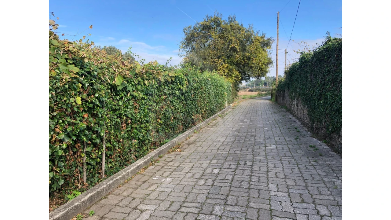 Terreno para Venda em Ovar, São João, Arada e São Vicente de Pereira Jusã Foto 2