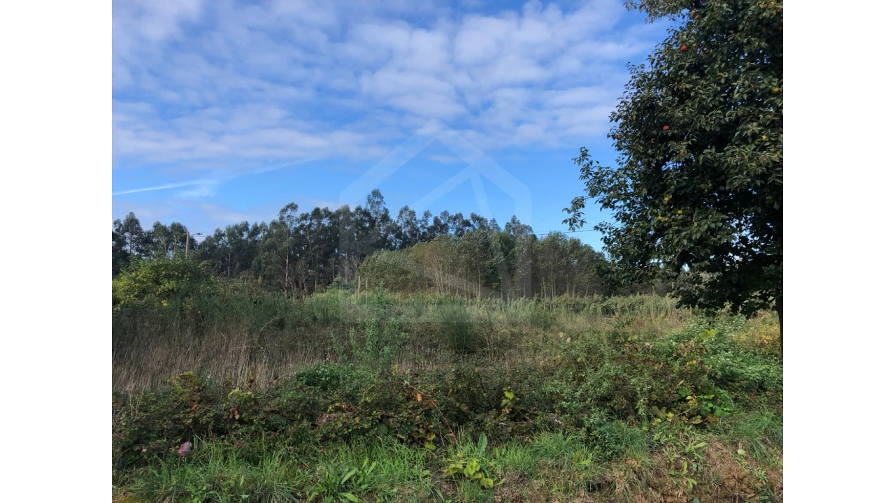 Terreno para Venda em Ovar, São João, Arada e São Vicente de Pereira Jusã Foto 4