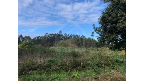 Terreno para Venda em Ovar, São João, Arada e São Vicente de Pereira Jusã