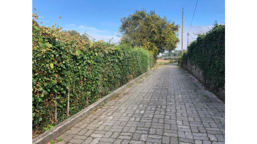 Terreno para Venda em Ovar, São João, Arada e São Vicente de Pereira Jusã Foto 2