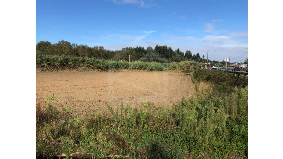 Terreno para Venda em Ovar, São João, Arada e São Vicente de Pereira Jusã Foto 1