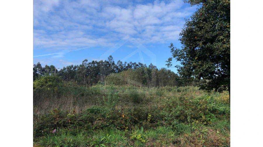Terreno para Venda em Ovar, São João, Arada e São Vicente de Pereira Jusã Foto 4