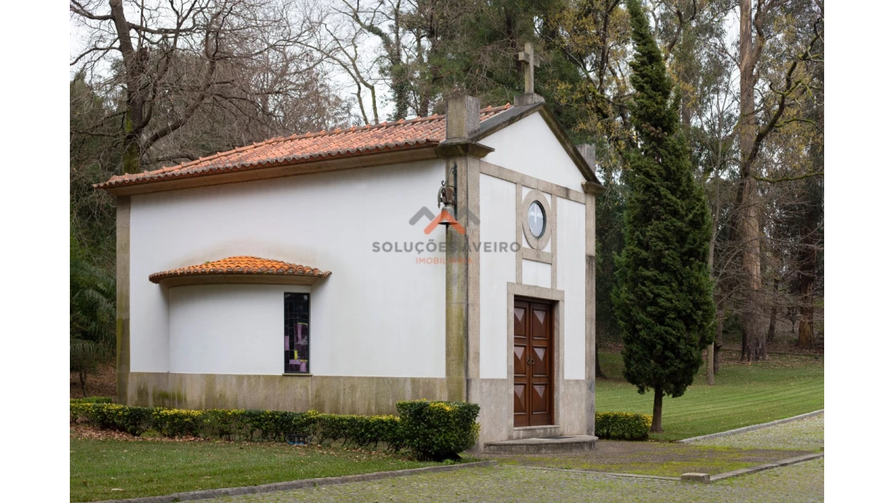 Quinta T10 para Venda em O. Azeméis, Riba-Ul, Ul, Macinhata Seixa, Madail Foto 39