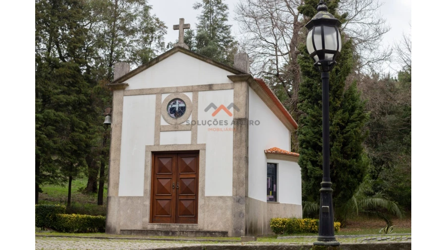 Quinta T10 para Venda em O. Azeméis, Riba-Ul, Ul, Macinhata Seixa, Madail Foto 34