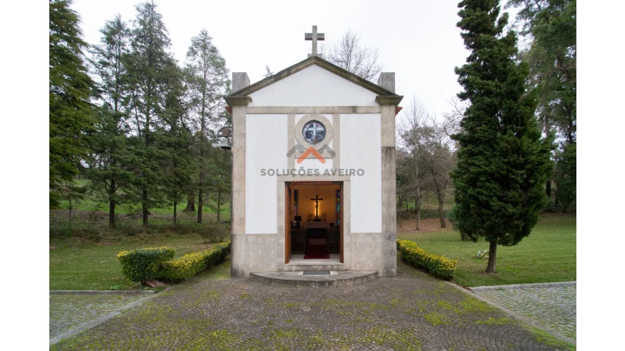 Quinta T10 para Venda em O. Azeméis, Riba-Ul, Ul, Macinhata Seixa, Madail Foto 38