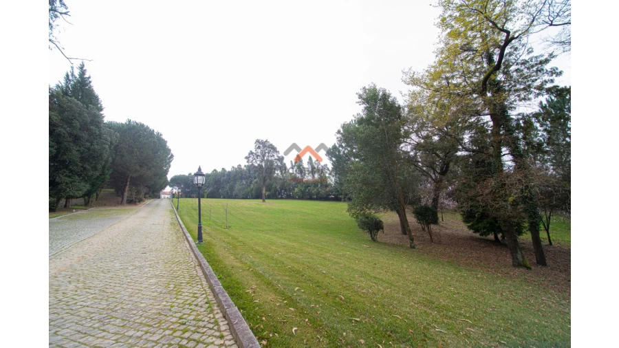 Quinta T10 para Venda em O. Azeméis, Riba-Ul, Ul, Macinhata Seixa, Madail Foto 43