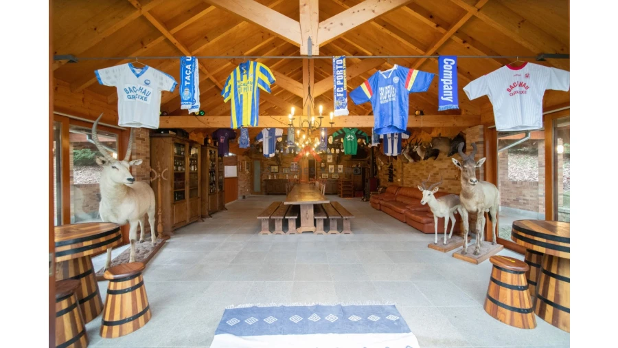 Quinta T10 para Venda em O. Azeméis, Riba-Ul, Ul, Macinhata Seixa, Madail Foto 50