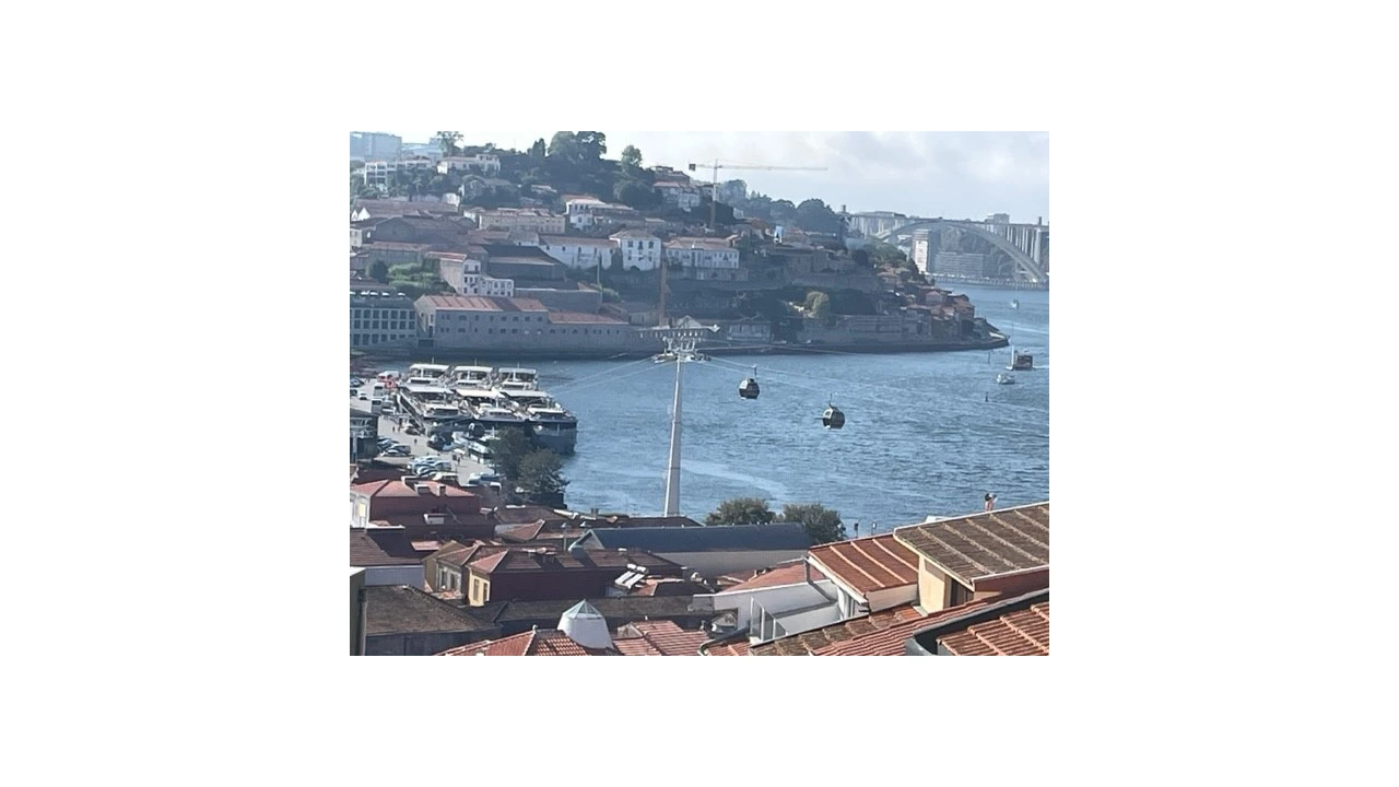 Apartamento T1 para Venda em Santa Marinha e São Pedro da Afurada Foto 2