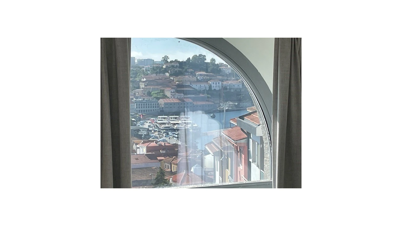 Apartamento T1 para Venda em Santa Marinha e São Pedro da Afurada Foto 3