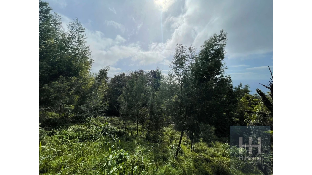 Terreno para Venda em Monte Foto 3