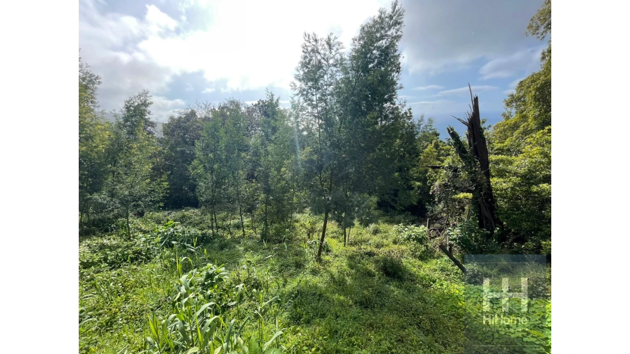 Terreno para Venda em Monte Foto 5