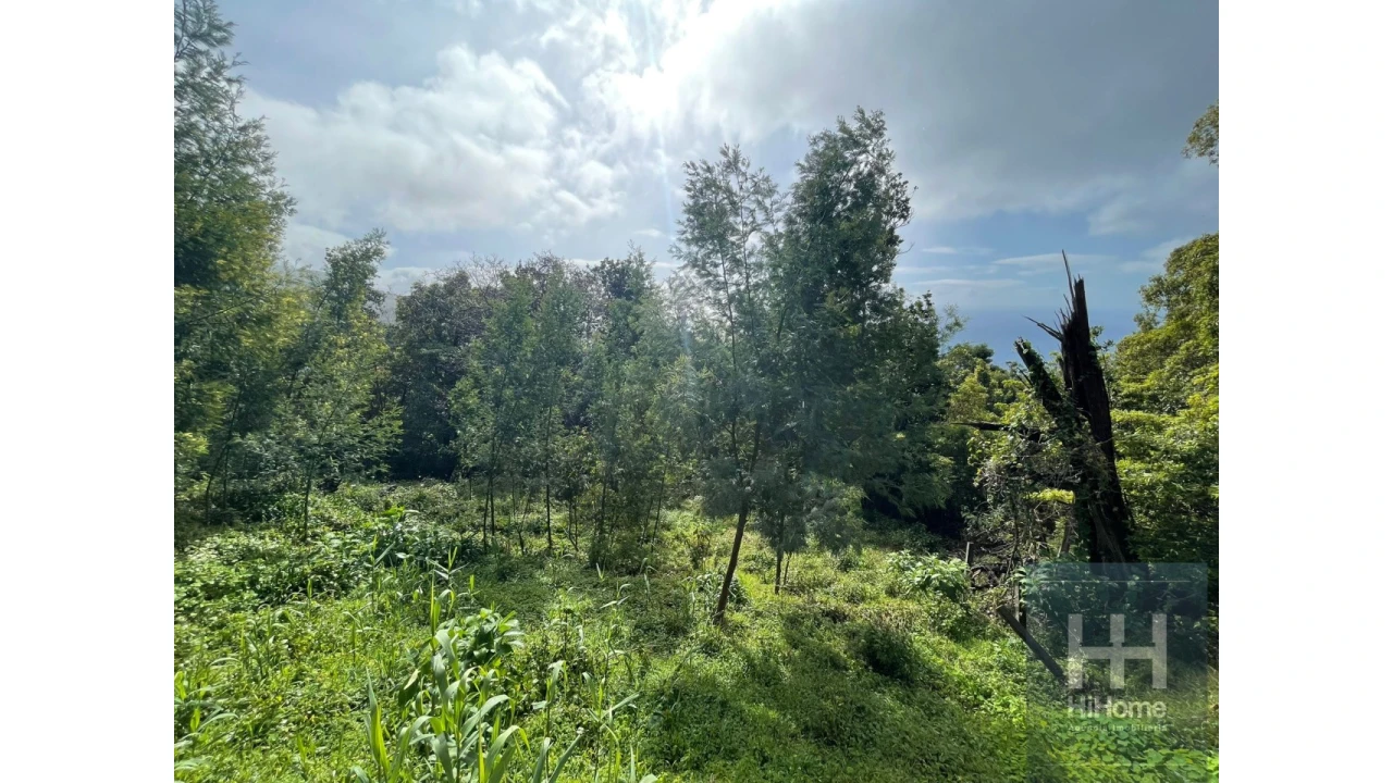 Terreno para Venda em Monte Foto 6