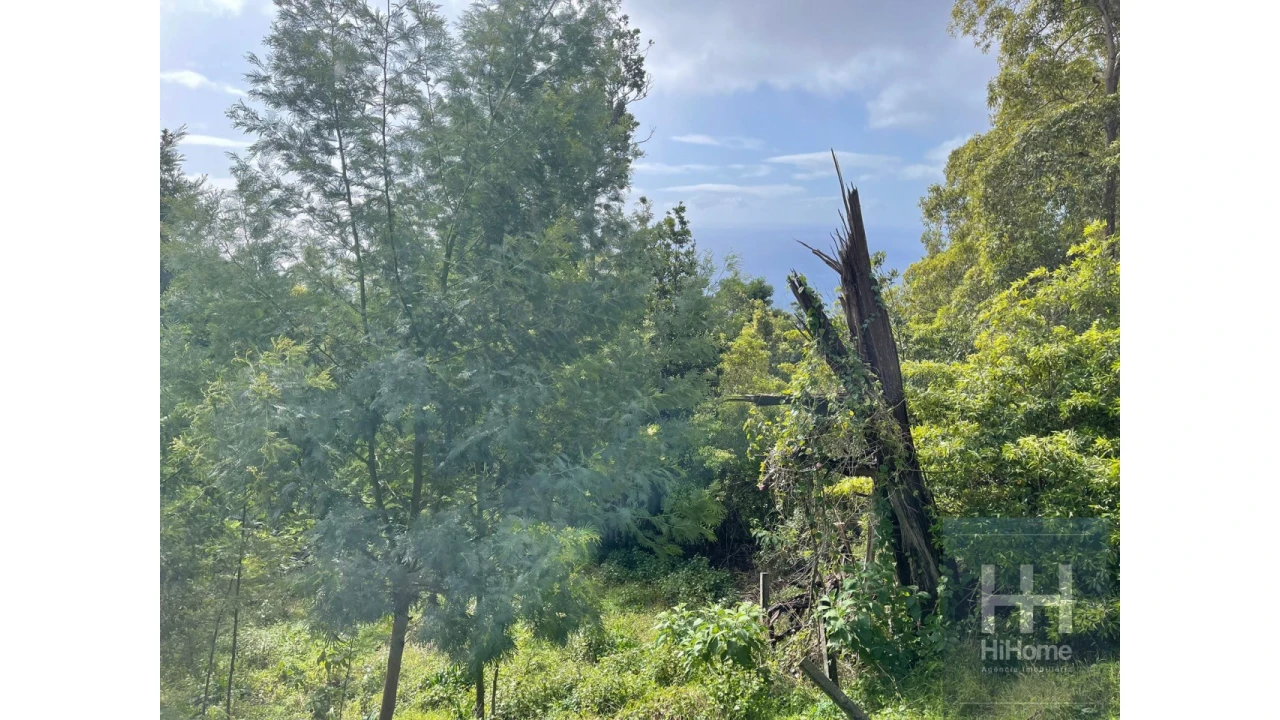 Terreno para Venda em Monte Foto 7