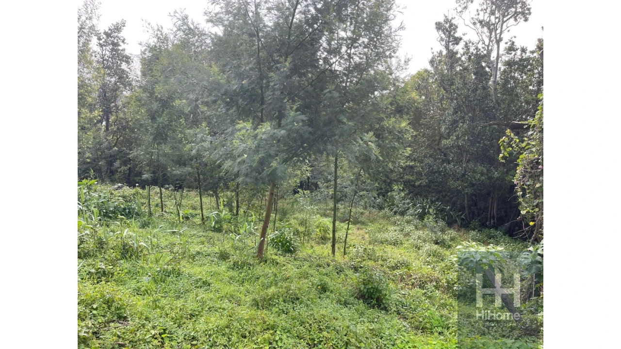 Terreno para Venda em Monte Foto 8