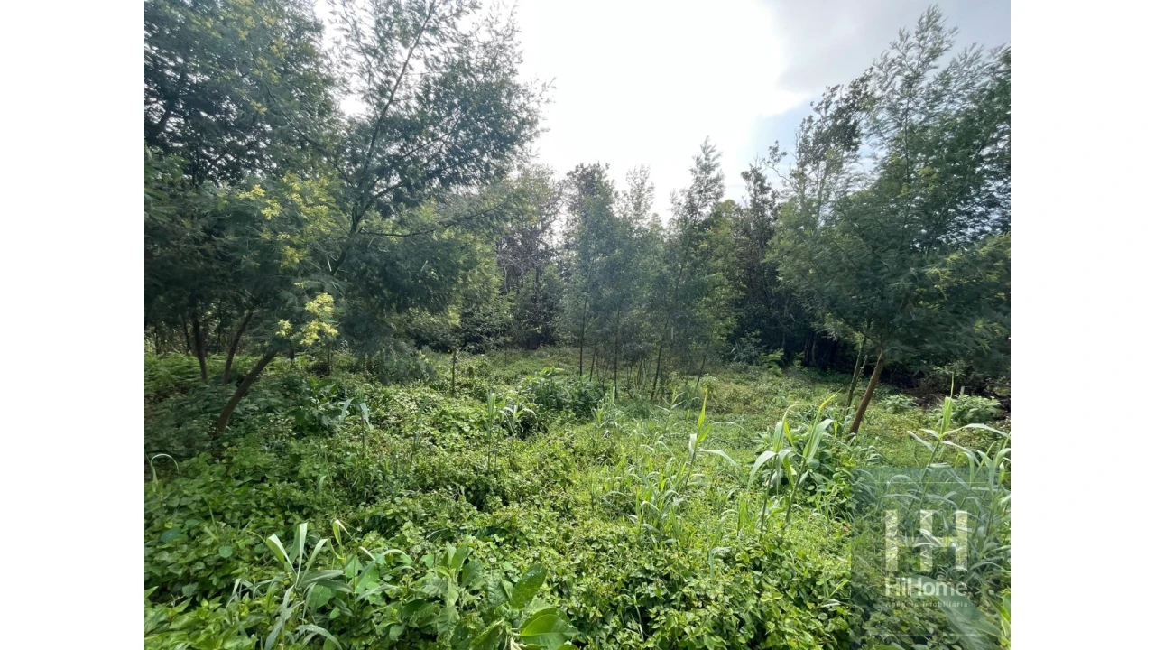 Terreno para Venda em Monte Foto 12