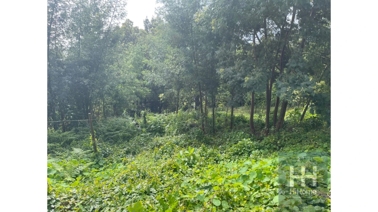 Terreno para Venda em Monte Foto 14