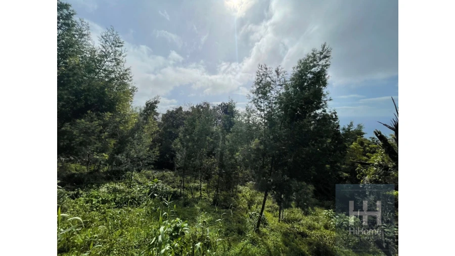 Terreno para Venda em Monte Foto 3