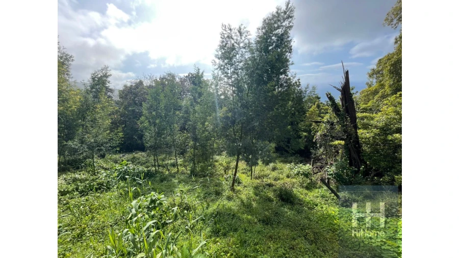 Terreno para Venda em Monte Foto 5