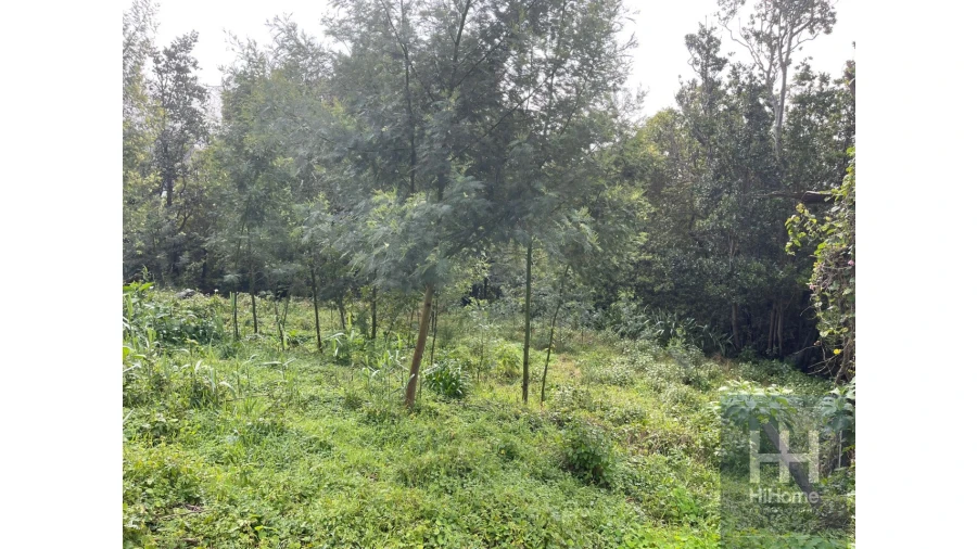Terreno para Venda em Monte Foto 8