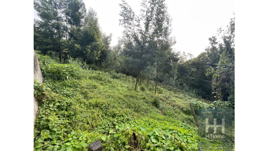Terreno para Venda em Monte Foto 9