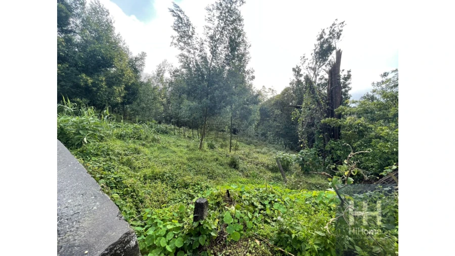 Terreno para Venda em Monte Foto 10