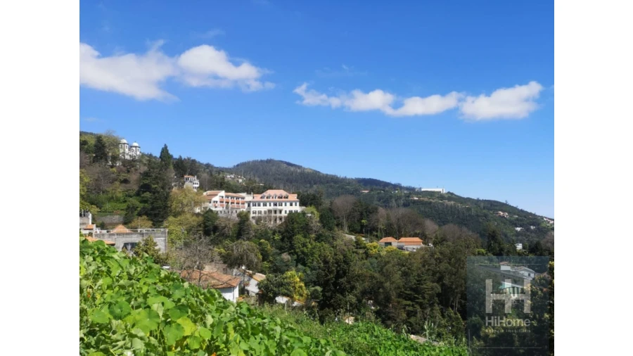 Terreno para Venda em Monte Foto 1