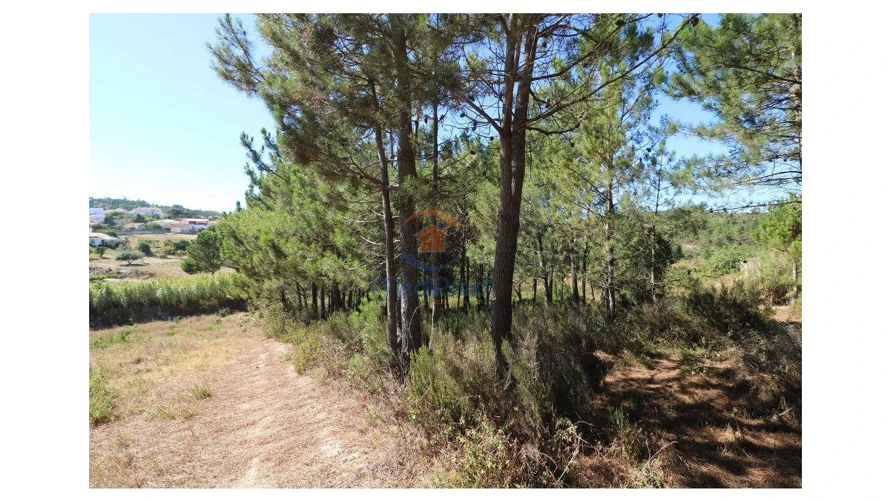 Terreno Agricola ou Rústico para Venda em Santa Maria, São Pedro e Matacães Foto 1
