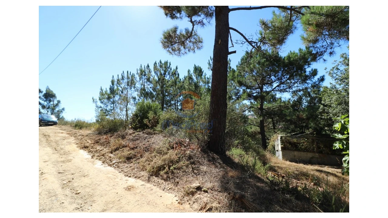 Terreno Agricola ou Rústico para Venda em Santa Maria, São Pedro e Matacães Foto 3