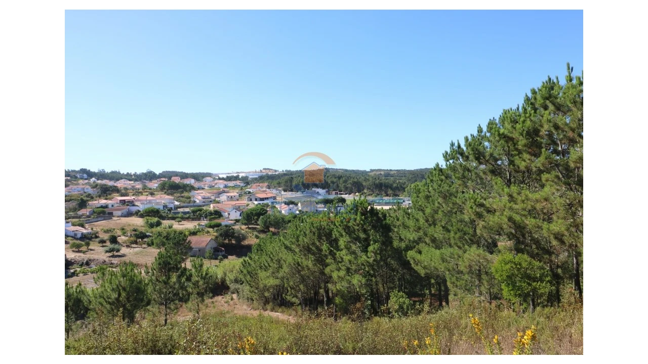 Terreno Agricola ou Rústico para Venda em Santa Maria, São Pedro e Matacães Foto 5