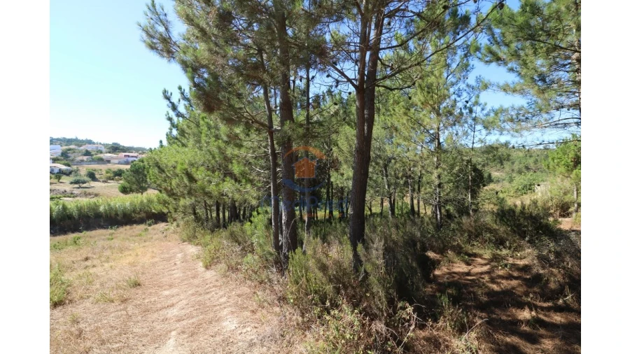 Terreno Agricola ou Rústico para Venda em Santa Maria, São Pedro e Matacães