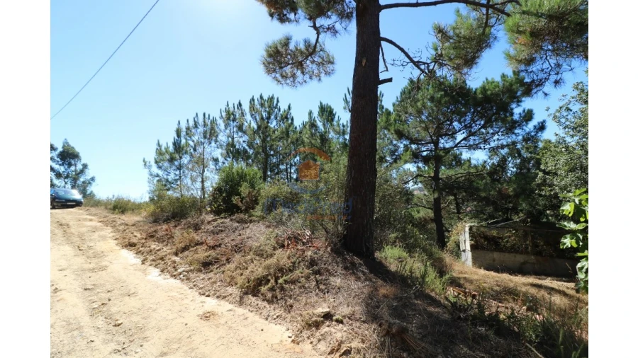 Terreno Agricola ou Rústico para Venda em Santa Maria, São Pedro e Matacães Foto 3