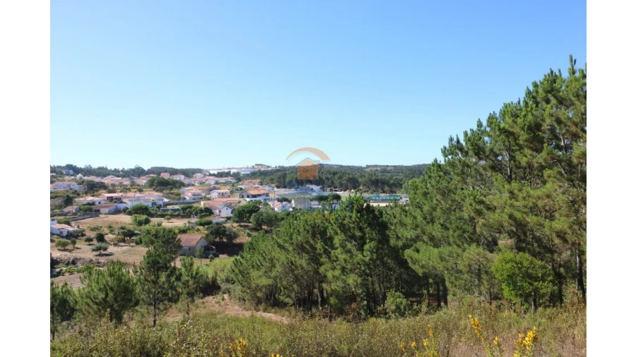 Terreno Agricola ou Rústico para Venda em Santa Maria, São Pedro e Matacães Foto 5