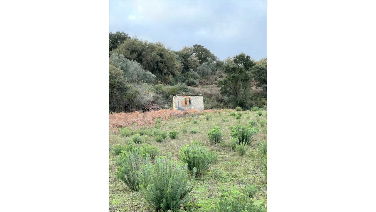 Terreno para Venda em Arruda dos Vinhos Foto 4