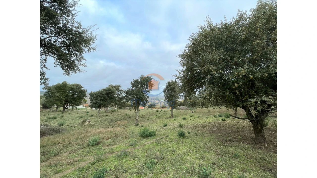 Terreno para Venda em Arruda dos Vinhos Foto 6