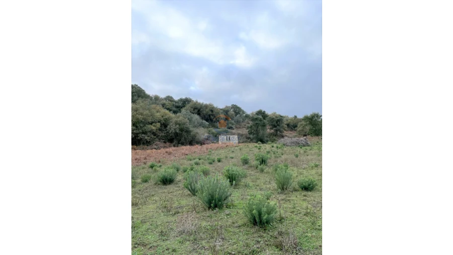 Terreno para Venda em Arruda dos Vinhos Foto 5