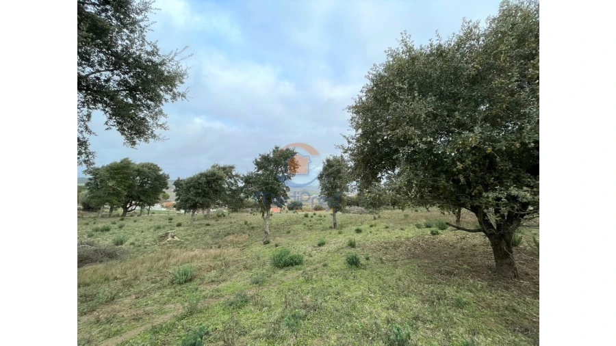 Terreno para Venda em Arruda dos Vinhos Foto 6