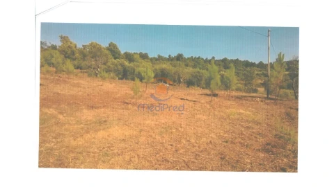 Terreno para Venda em Covas e Vila Nova de Oliveirinha