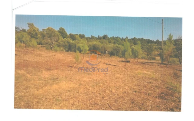 Terreno para Venda em Covas e Vila Nova de Oliveirinha