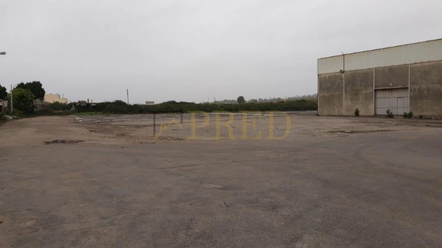 Armazém para Venda em Arcozelo Foto 2