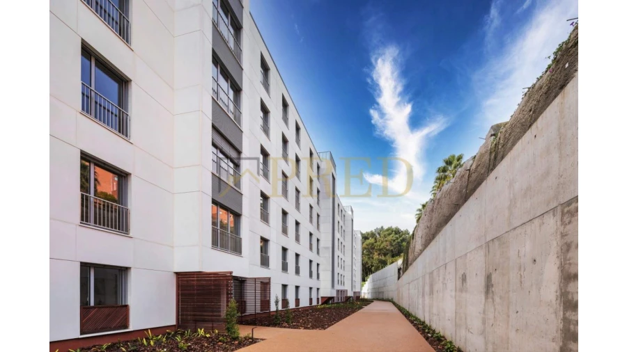 Apartamento T1 para Arrendamento em Lordelo do Ouro e Massarelos Foto 3