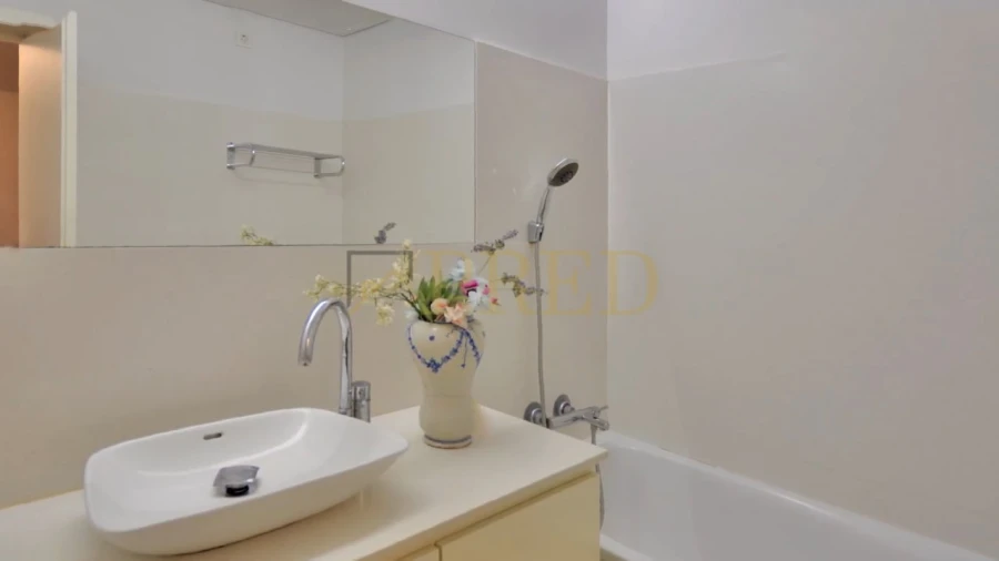 Quinta T10 para Venda em Tagilde e Vizela (São Paio) Foto 12