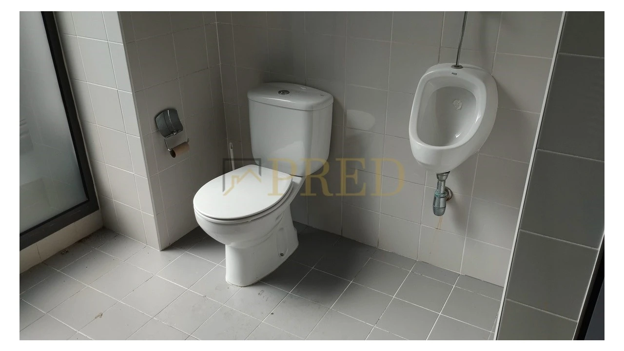 Armazém para Arrendamento em São Romão de Neiva Foto 12