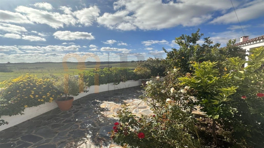 Quinta T7 para Venda em São Miguel do Pinheiro, São Pedro de Solis, São Sebastião dos Carros Foto 27