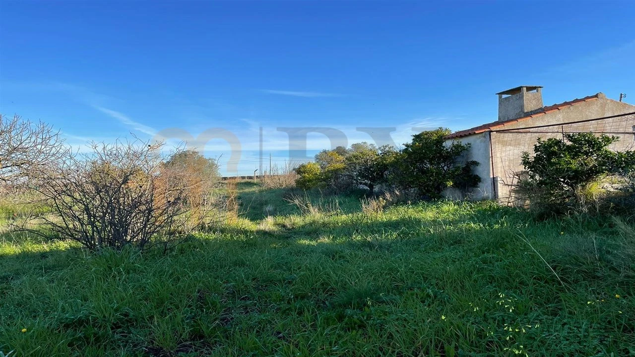 Quinta T1 para Venda em Ferreira do Alentejo e Canhestros Foto 5
